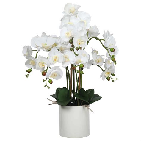 Large Multi Stem White Potted Faux Orchid Designer Plants