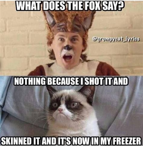 What Does The Fox Say Grumpy Cat Nothing Because I Shot