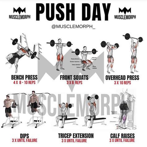 Musclemorph® On Instagram “6 Day Workout Program ️ Swipe Left