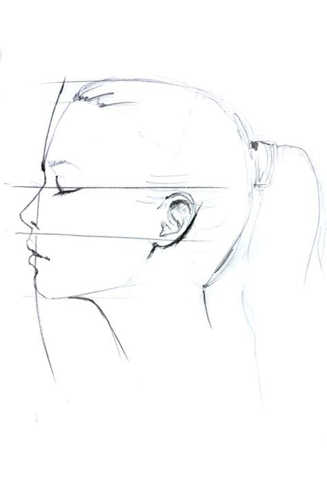 Profile Head Profile Drawing Face Drawing Drawings