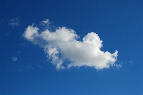 Free Stock Photos Rgbstock Free Stock Images Single Cloud