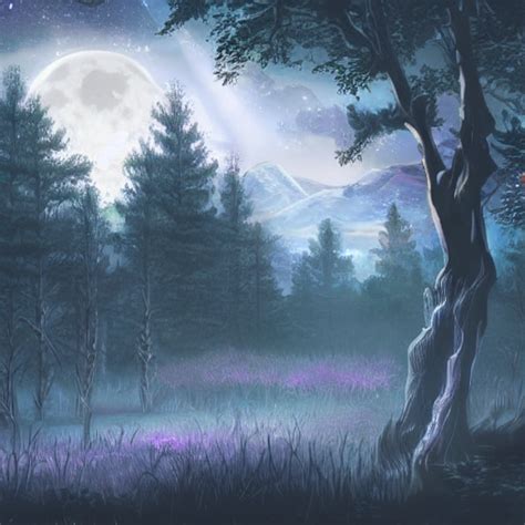 Krea A Moonlit Clearing In The Woods Ttrpg Gridless Map Beautiful