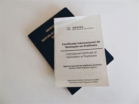 O certificado internacional de vacinação é o documento que comprova a vacinação contra doenças. Como fazer o cartão de vacinação internacional? - Maracujá ...