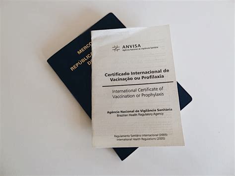 Se você vai viajar para o exterior, consulte a lista rápida de países que exigem o certificado. Como fazer o cartão de vacinação internacional? - Maracujá ...