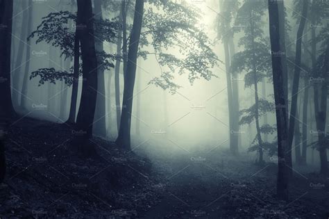 Mysterious Dark Fantasy Foggy Forest ~ Nature Photos ~ Creative Market
