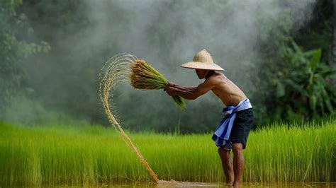 Những Hình ảnh Quê Hương đất Nước Con Người Việt Nam đẹp Nhất