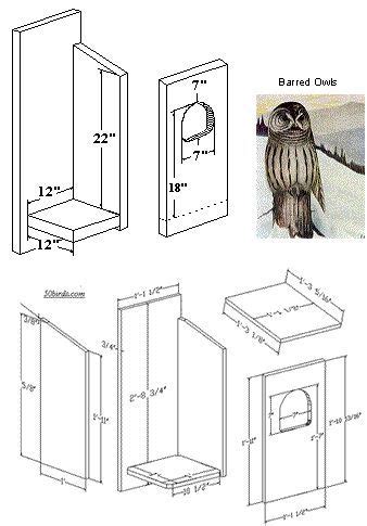Barred Owl Nestbox Bird Houses Homemade Bird Houses Bird House Plans