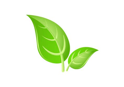 Green Leaves Png Images Hd Png Play
