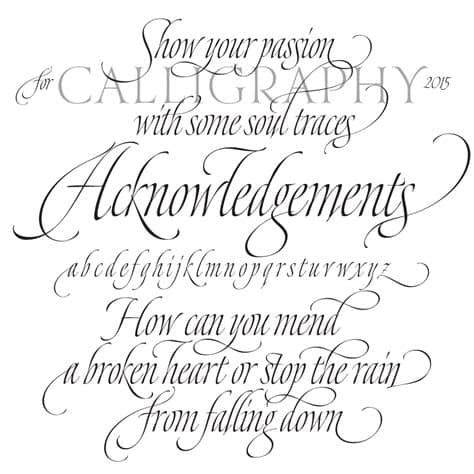 Distinct style font duo designed by fonts collection. Dream Script - Typographica