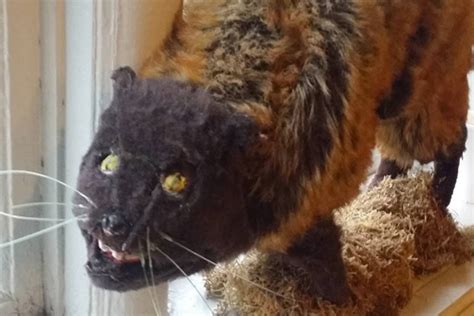 10 Terrible Taxidermy Jobs By People Who Have Probably Never Seen Animals