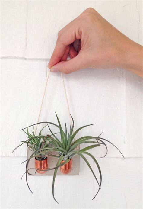 Copper Cement Double Air Plant Holder Air Plant Wall Hanging Etsy