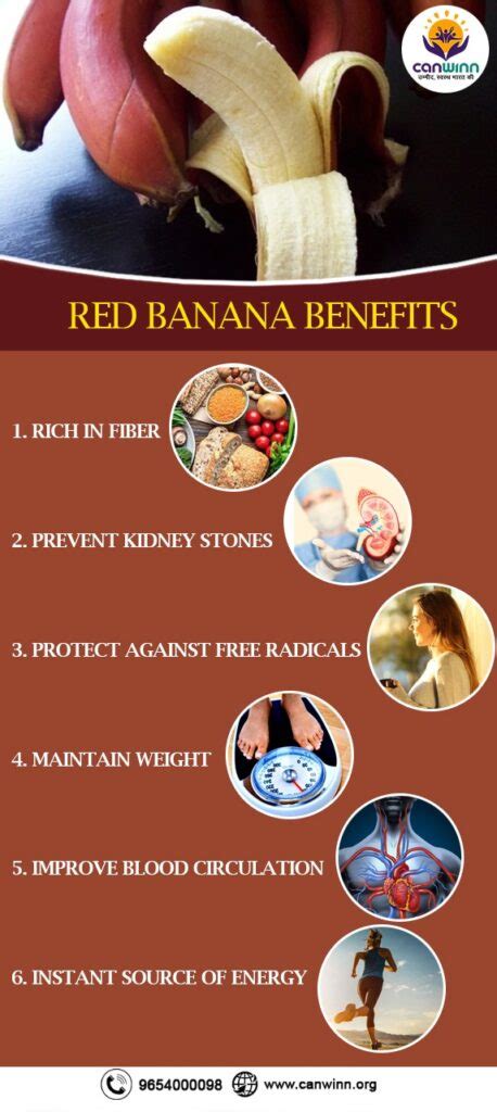 Healthy Food What Are The Benefits Of Red Banana And How To Use Them