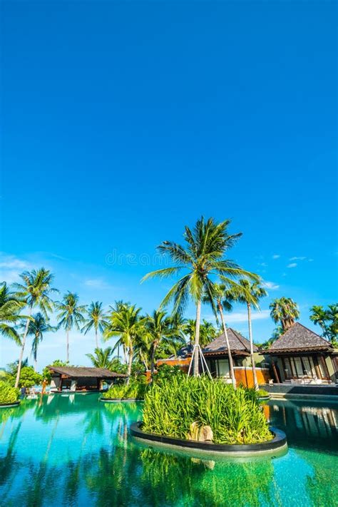 Beautiful Outdoor Swimming Pool With Coconut Palm Tree Stock Photo