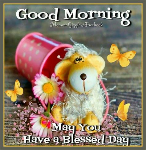 Good Morning May You Have A Blessed Day Pictures Photos And Images