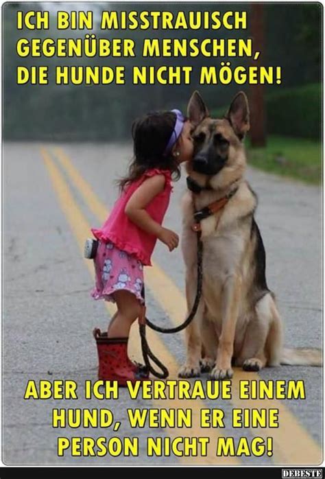 Marilyn monroe zitat hunde beissen mich nie nur menschen zitate beruhmter personen. Hier bei uns von EBENBLATT gibt's die coolsten und ...