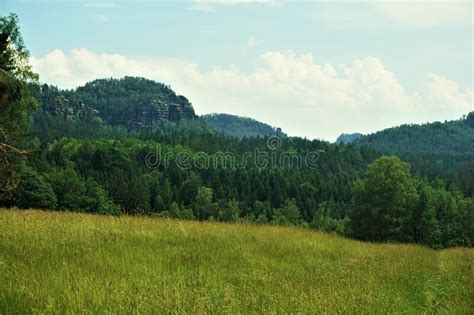 Beautiful Mountain Meadow Forest View Stock Image Image Of View