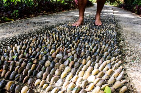 Lazimnya rempah ratus ini dikeringkan terlebih dahulu sebelum digunakan supaya boleh disimpan lama dan tidak berkulat atau rosak. Pelajari Sejarah Berbagai Jenis Rempah Ratus di Tropical ...