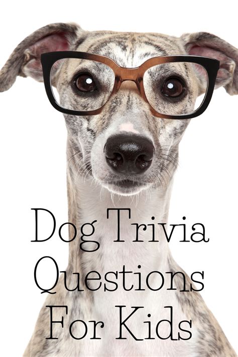 Dog Trivia Quiz For Children Answers Included Dog Quiz Trivia Quiz