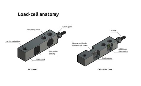 What Is A Load Cell And How Does It Work