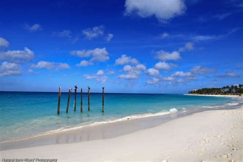 Druif Beach Gentle Waves Of Druif Beach Aruba Natural Bor Flickr