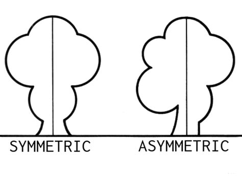 Perbedaan Desain Simetris Dan Asimetris Beserta Contohnya Kuliah Desain