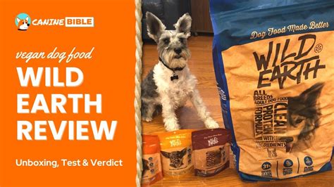 Wild Earth Dog Food Review Our Dog Tried This Plant Based Vegan Food