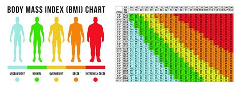 Bmi Classification Chart Measurement Man Set Male Bod Vrogue Co