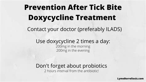Doxycycline Dosage For Lyme Disease Prevention Lyme Borreliosis