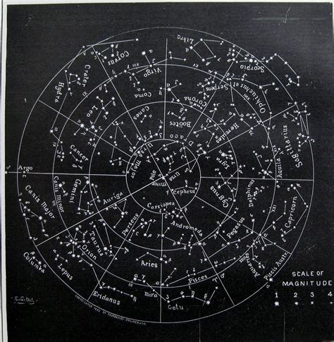 Antique Stars And Constellations Chart 1886 Astronomy 1800s