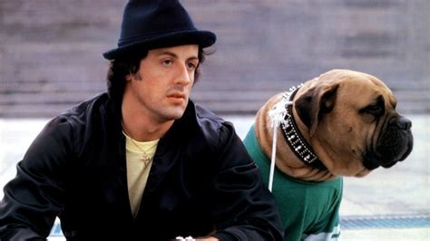‎rocky Ii 1979 Directed By Sylvester Stallone Reviews Film Cast