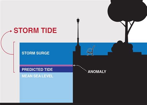 What Is Storm Surge
