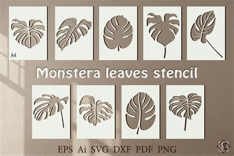 Monstera Leaves Stencilsvg By Svetlana Thehungryjpeg
