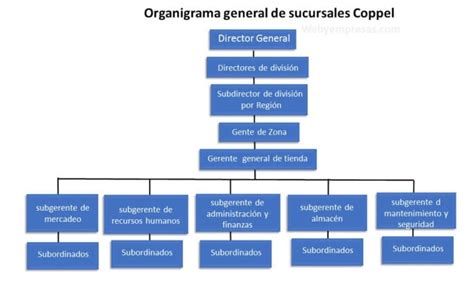 Organigrama De Coppel Web Y Empresas