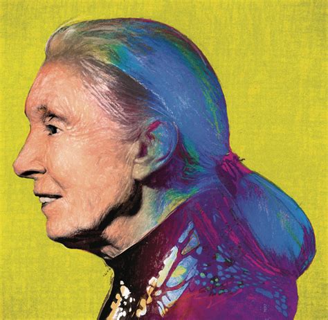 Why Jane Goodall Still Has Hope For Us Humans The New York Times