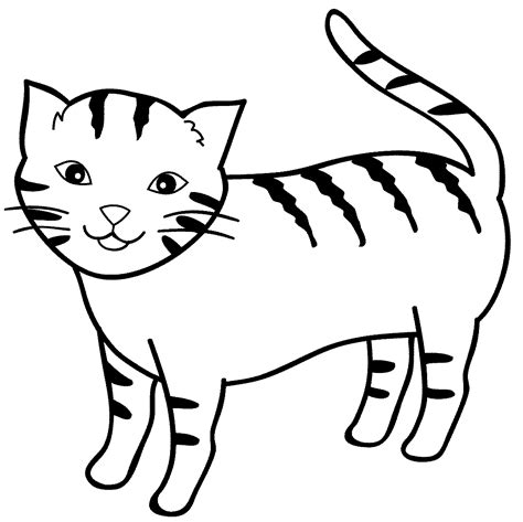 Kumpulan Mewarnai Gambar Sketsa Hewan Kucing Yang Mudah Desain Gambaran
