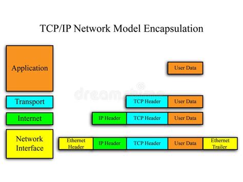 Tryhackme Introductory Networking Pt Encapsulation The Tcp Ip Model My Xxx Hot Girl