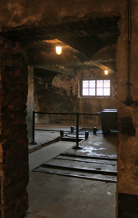 I have always assumed that it killed relatively quickly. Gas Chamber I and Incinerator Room at Auschwitz - The ...