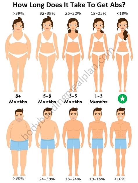 4 Pack Abs Vs 6 8 10 Pack Men And Women Genetics Body Fat Percentage Nutritioneering