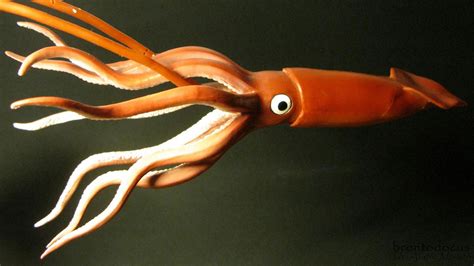 Giant Squid Safari Ltd Monterey Bay Aquarium Collection