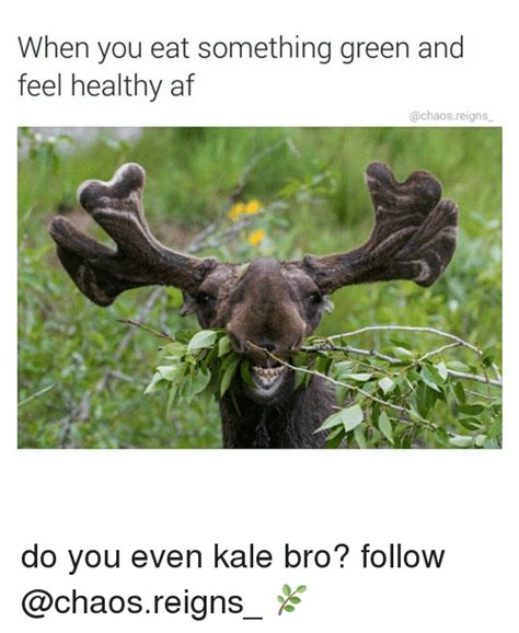 when you eat something green and feel healthy af reigns do you even kale bro follow 🌿 meme on