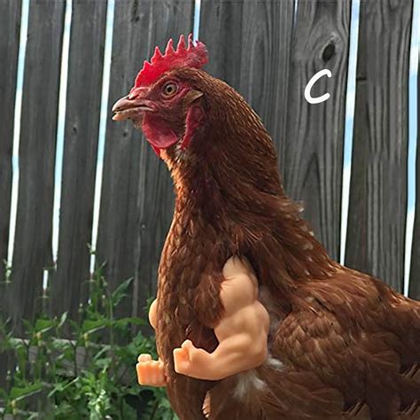 Funny Muscle Chicken Arms Chicken Wings Funny Boxing Arm Etsy