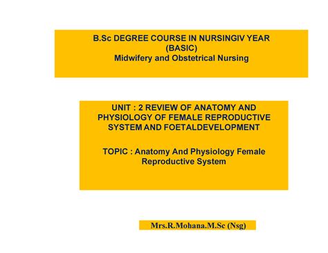 E Notes Female Reproductive System Unit 2 Review Of Anatomy And