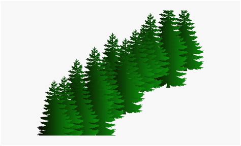 Free Clipart Evergreen Trees 10 Free Cliparts Download Images On