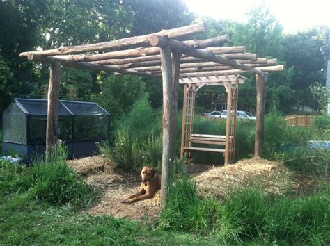 So, i've just picked up a few hardy kiwi plants and i'm trying to figure out how to trellis them in the other than a standard grape vine type trellis system or a t trellis system, does anyone have any. Google Image Result for http://ecologiadesign.files ...