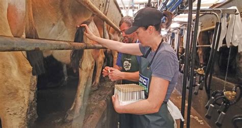 A Proactive Approach To Udder Excellence