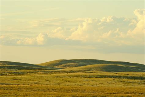 Prairies And Parklands Nature Destinations Destinations Nature