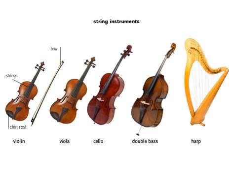 Stringed Instrument Noun Definition Pictures Pronunciation And