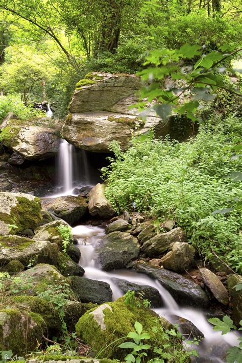 Cascade outdoor design is a jacksonville, fl based design company that creates unique and comfortable outdoor living spaces. cascade Yzeron - | Cascade, Garden design, Outdoor