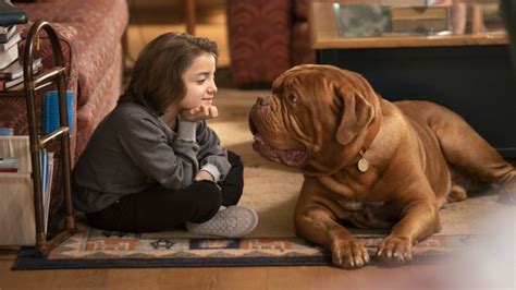 Turner And Hooch Episode 11 Recap Hooch Machina Leisurebyte