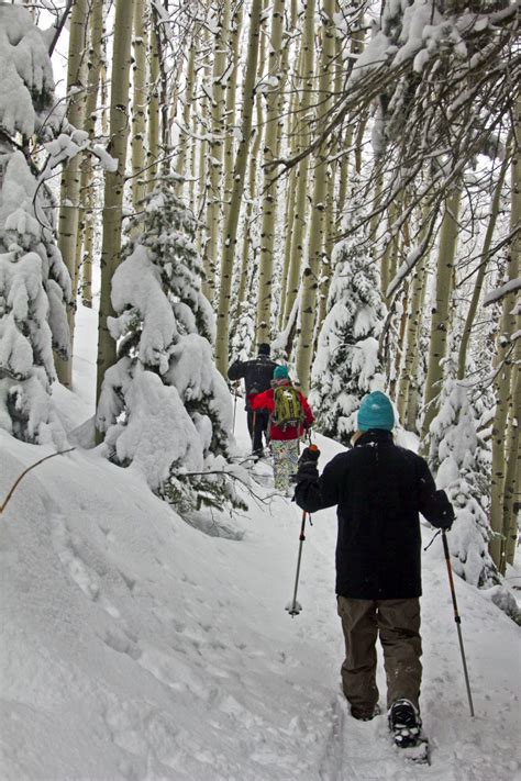 Snowshoeing Park City Utah All Seasons Adventures Scenic Tours